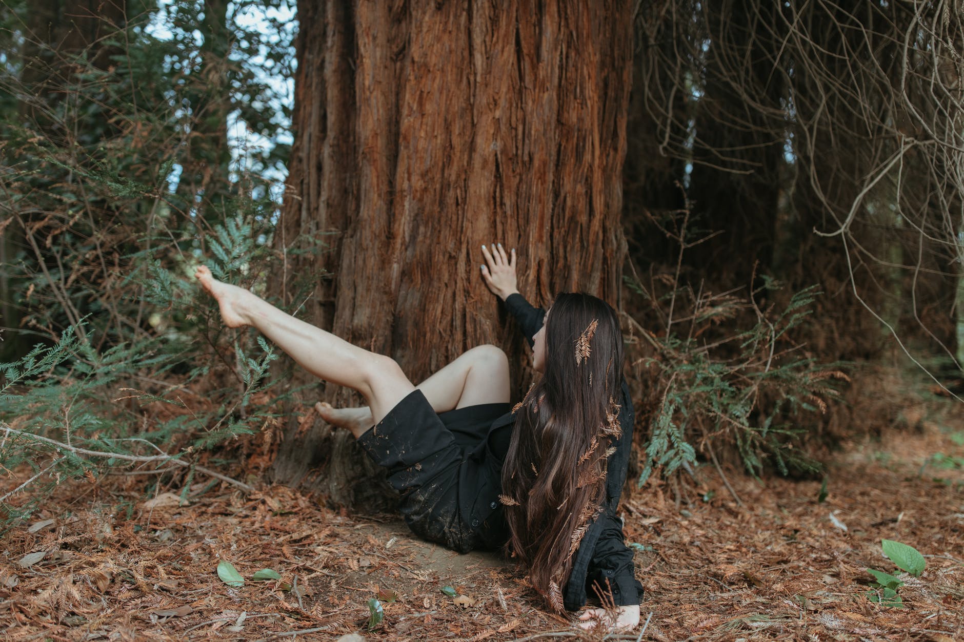 woman in black dress lying on ground with brown tree trunk