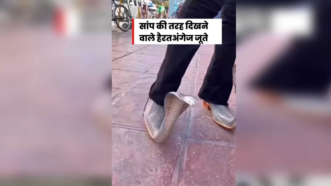 King Cobra Shoe 2023
