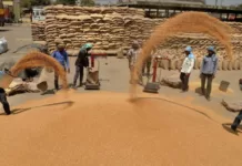 मोबाइल क्रय केन्द्रों पर गेहूं खरीद करें सुनिश्चित: जिलाधिकारी