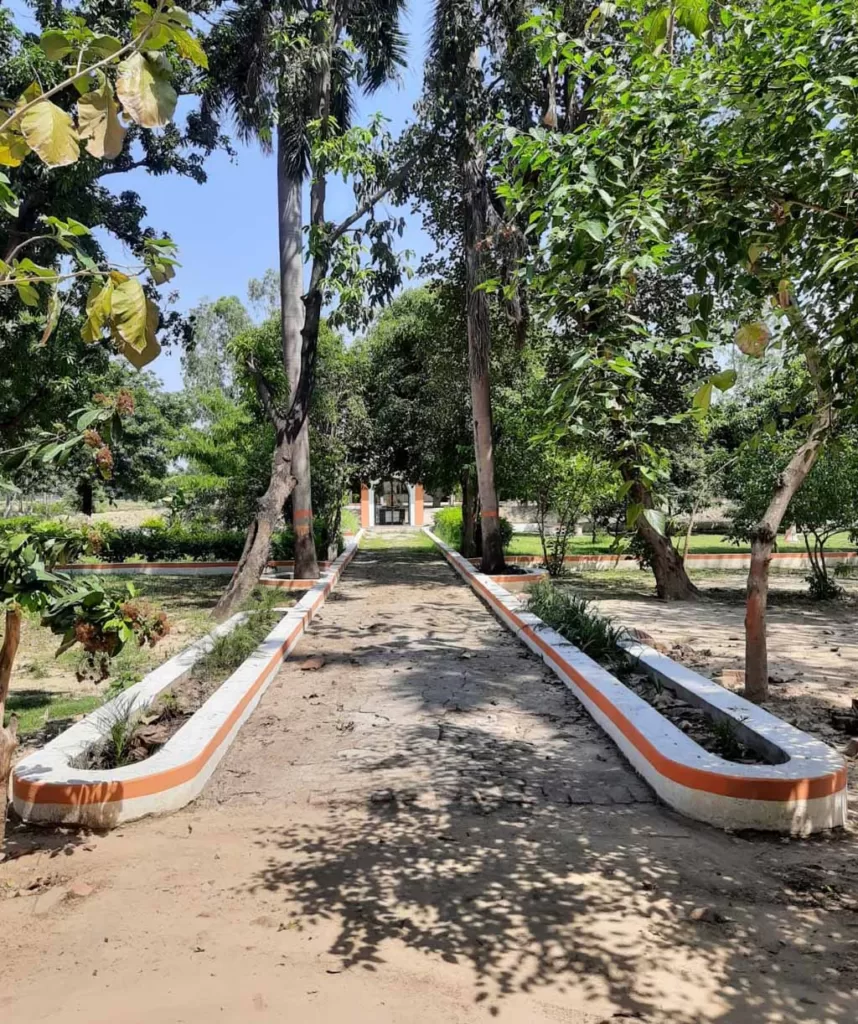 Sant Tulsidas PG College Kadipur Sultanpur की पूरी जानकारी 1 क्लिक पर