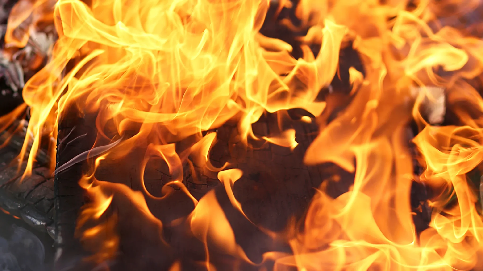 बिजनौर में मढ़े की दावत में हाईटेंशन लाइन गिरने से तीन गैस सिलेंडर फटे, दूल्हा समेत तीन झुलसे 1 AdobeStock 310470353