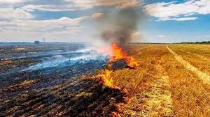 Flying squads deployed to caution those burning stubble