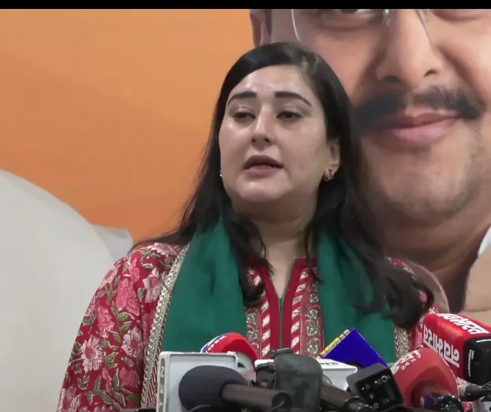 भाजपा का राहुल गांधी पर हमला