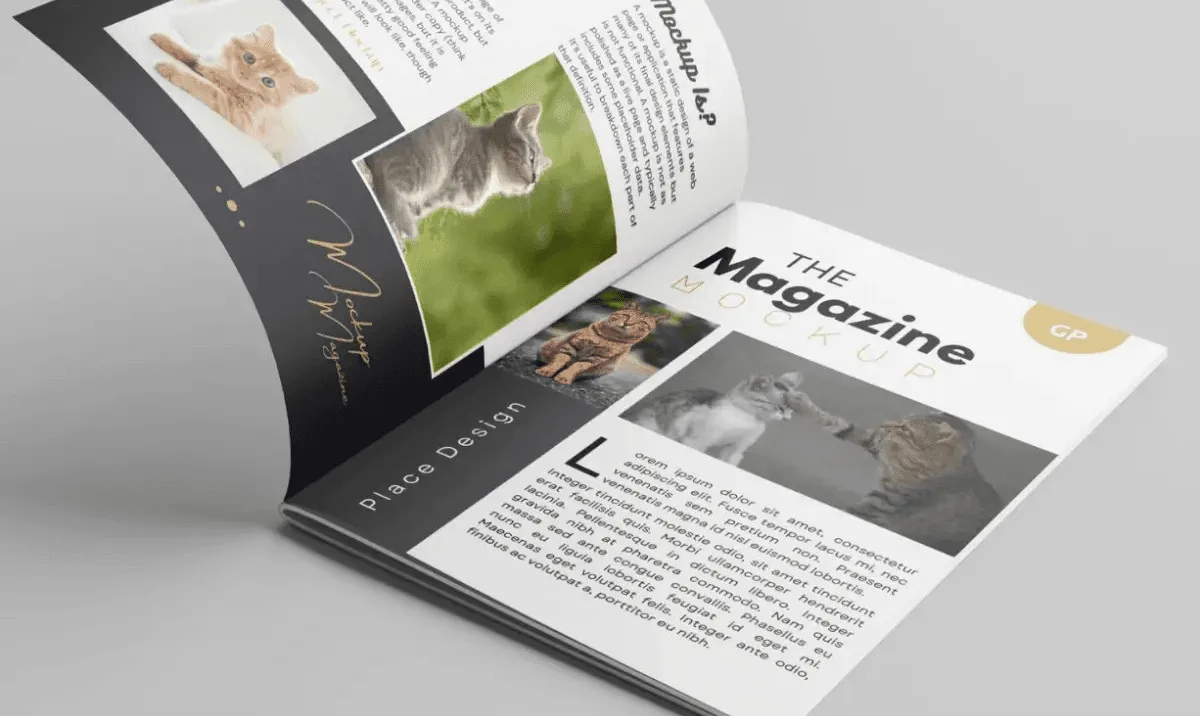 Magazine Designing | पत्रिका स्मारिका डिजाइन