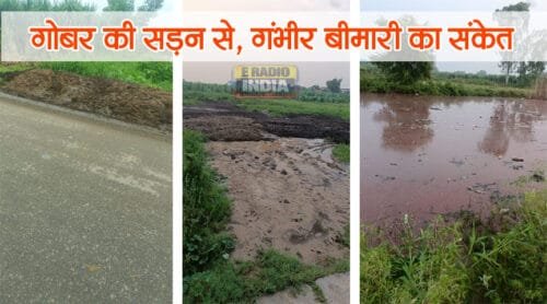 Kaland Village Sardhana में अवैध डेयरियों से ग्रामीण परेशान, गंदगी और बीमारी का खतरा