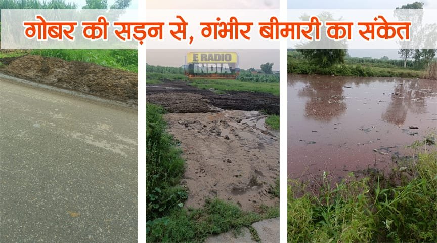 Kaland Village Sardhana में अवैध डेयरियों से ग्रामीण परेशान, गंदगी और बीमारी का खतरा