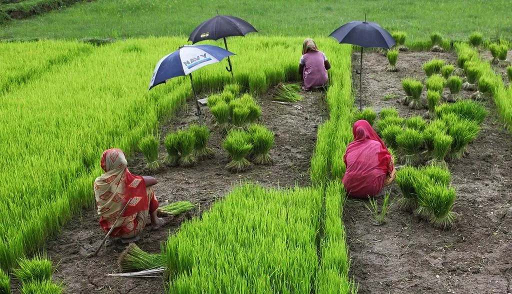 फसलों का बेहतर उत्पादन करने में करें मदद