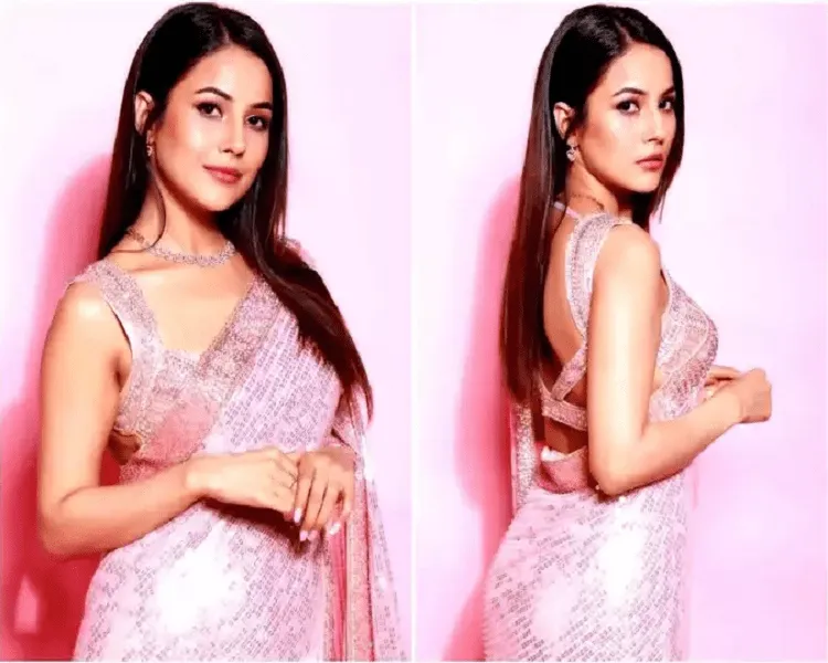 शहनाज गिल के हाथ लगी एक और फिल्म 2 shahnaz min