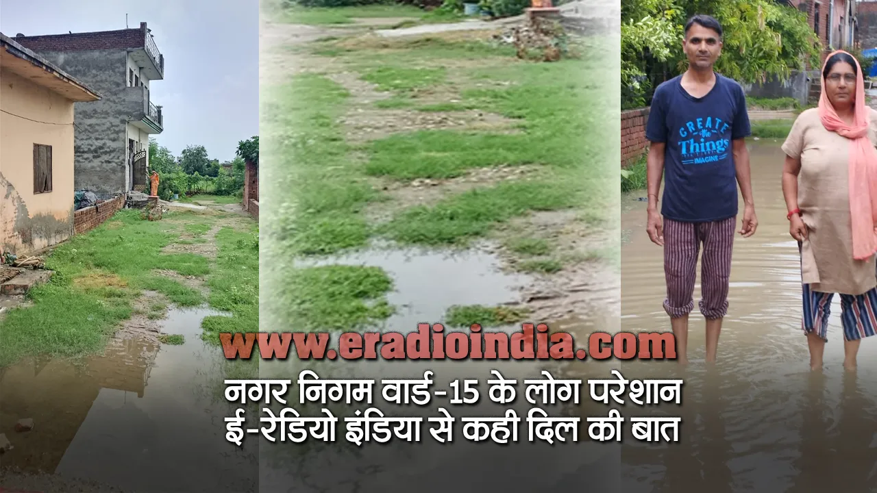 Nagar Nigam Meerut News: वार्ड 15 की कालोनी हफ्तों रहती है जगमग्न