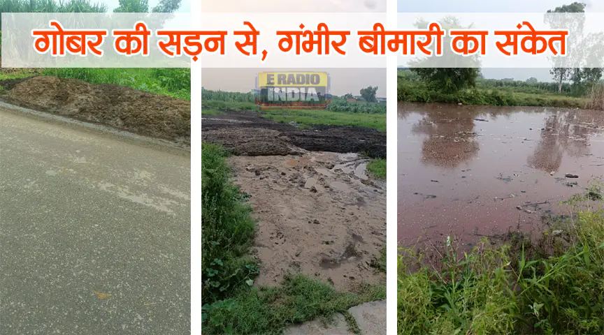 Kaland Village Sardhana में अवैध डेयरियों से ग्रामीण परेशान, गंदगी और बीमारी का खतरा